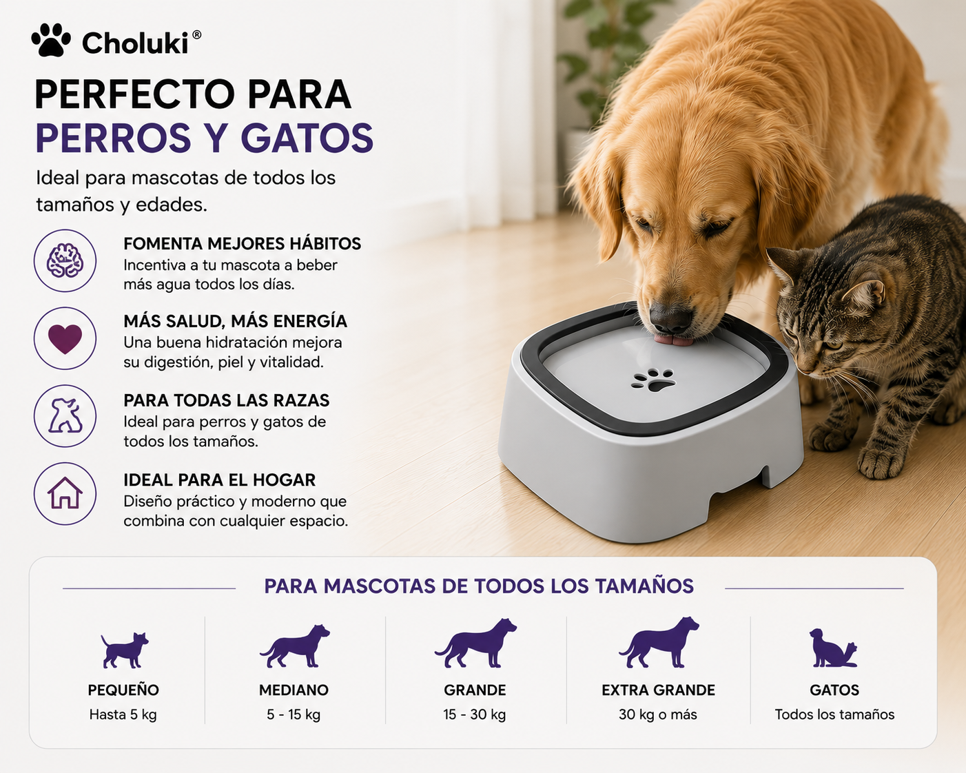 🐾 Bebedero Antiderrames 1,5L para Perros y Gatos | Choluki®